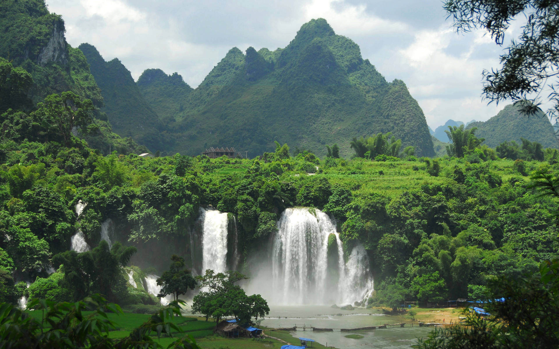 Flora i fauna Wietnamu
